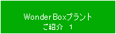 WonderBoxi_[{bNXj